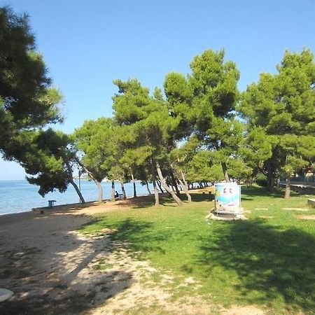 Apartments Lili Zadar Eksteriør billede